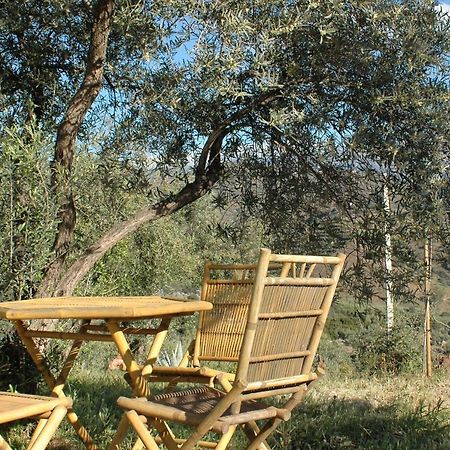 Jingtu Wellness & Spa B&B Comares Exterior foto